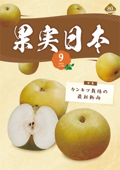 ʎ{ŐV